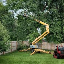 Best Seasonal Cleanup (Spring/Fall)  in Green Valley, CA