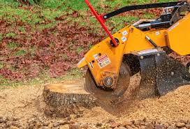 Best Seasonal Cleanup (Spring/Fall)  in Green Valley, CA